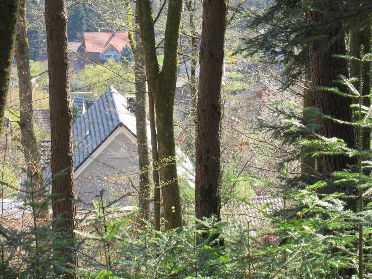 Le Clos D'Aure. Oberhaslach エクステリア 写真