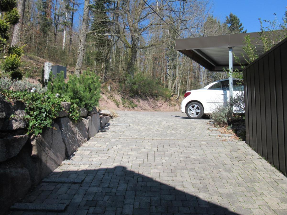 Le Clos D'Aure. Oberhaslach エクステリア 写真