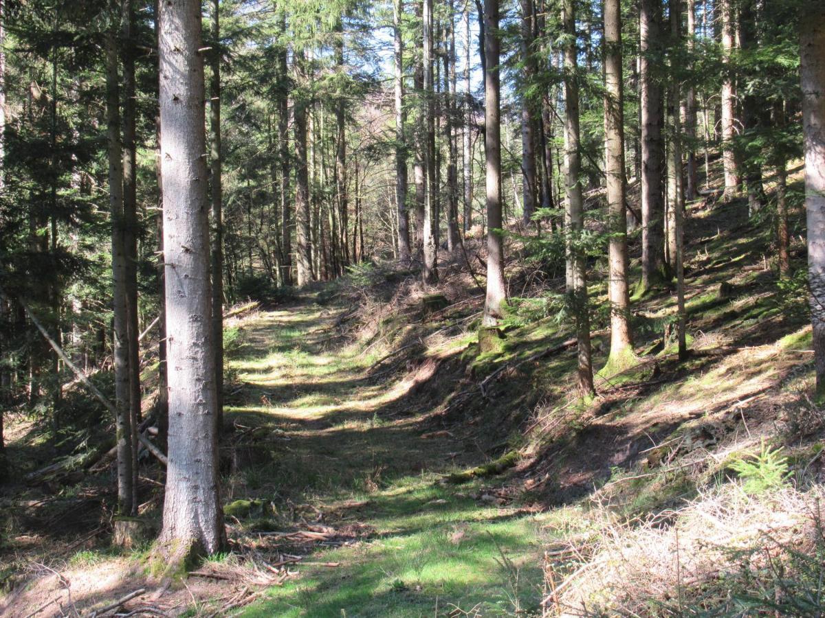 Le Clos D'Aure. Oberhaslach エクステリア 写真
