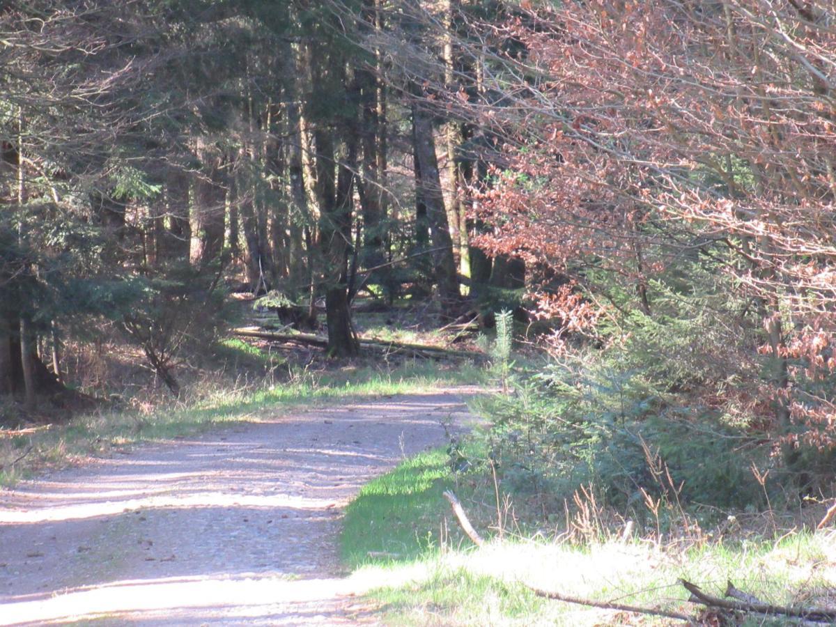 Le Clos D'Aure. Oberhaslach エクステリア 写真