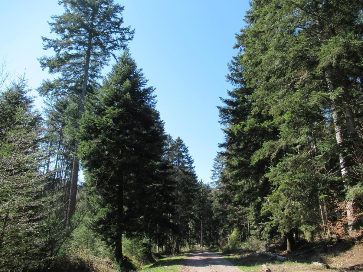 Le Clos D'Aure. Oberhaslach エクステリア 写真