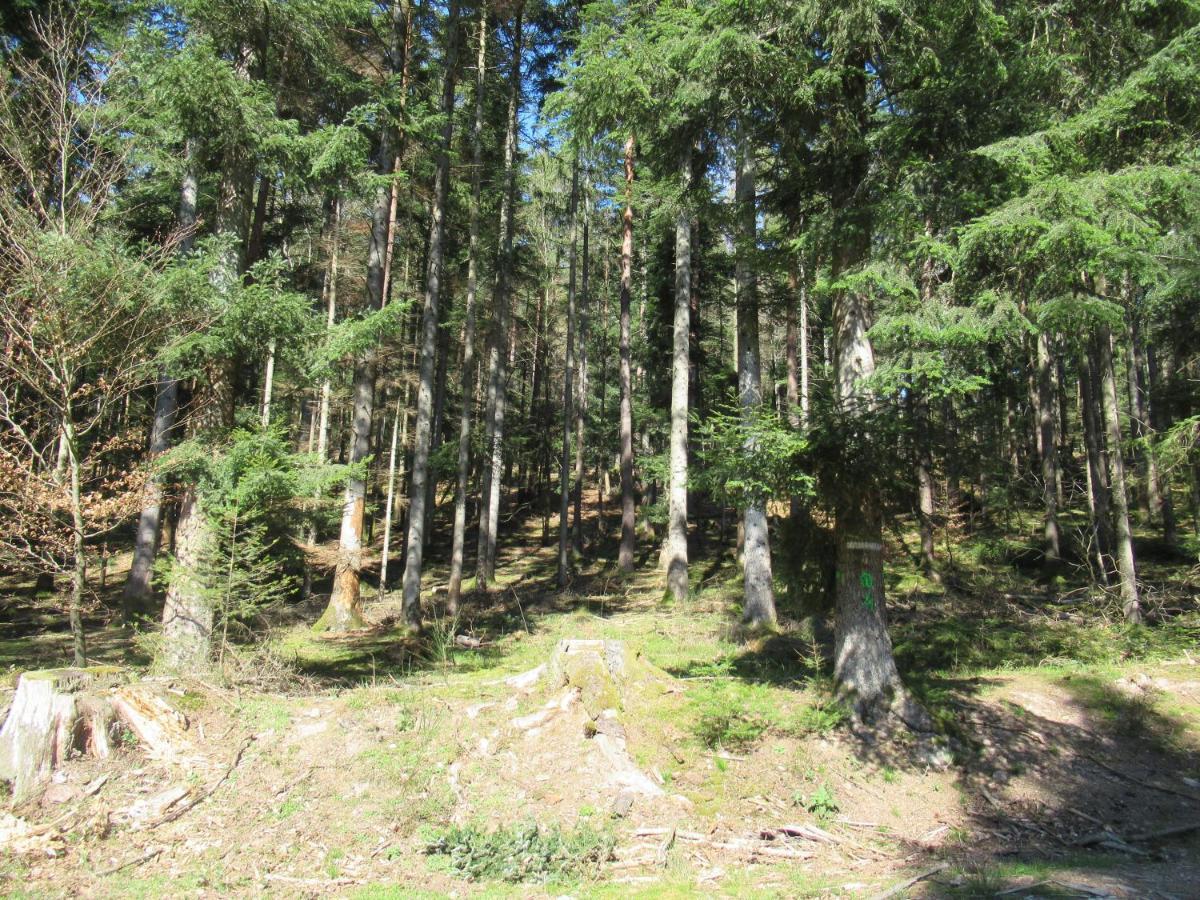 Le Clos D'Aure. Oberhaslach エクステリア 写真