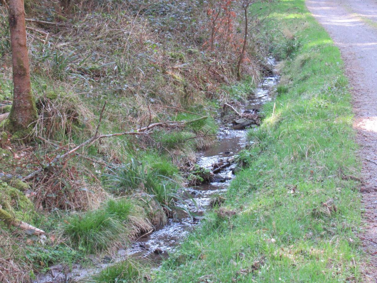 Le Clos D'Aure. Oberhaslach エクステリア 写真