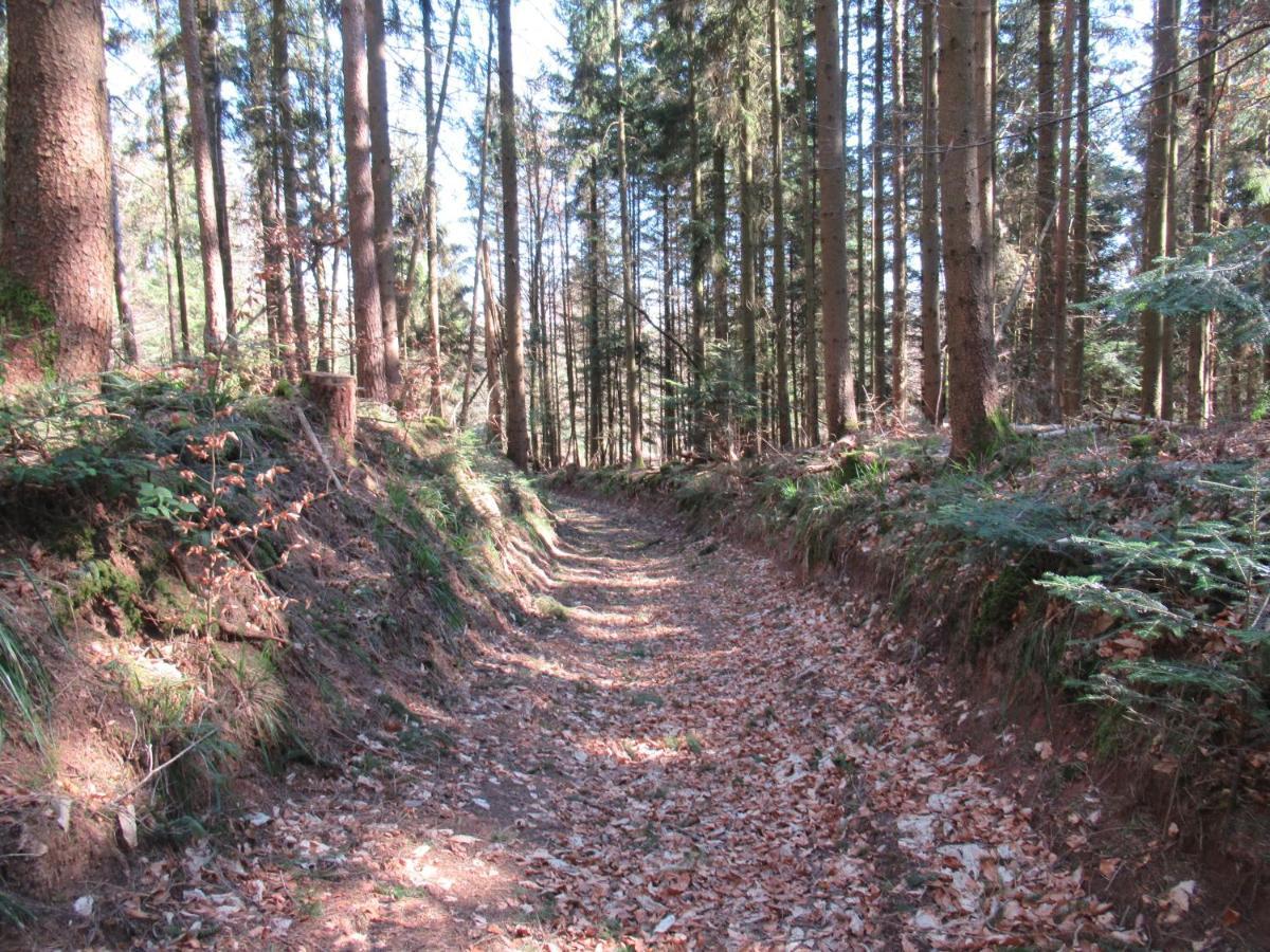 Le Clos D'Aure. Oberhaslach エクステリア 写真
