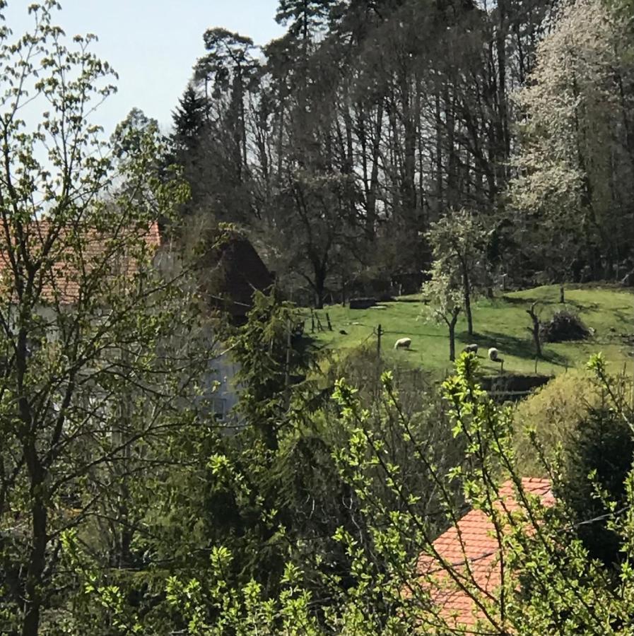 Le Clos D'Aure. Oberhaslach エクステリア 写真